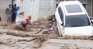 Inondations en Asie du Sud-Est : des centaines de morts de la Thaïlande au Sri Lanka