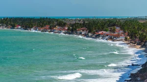 Des scientifiques alertent : la moitié des plages du monde pourrait disparaître.