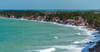Des scientifiques alertent : la moitié des plages du monde pourrait disparaître.