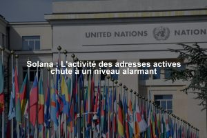 Solana : L'activité des adresses actives chute à un niveau alarmant