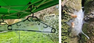 Des araignées inspirent des biologistes à créer des toiles artificielles pour capturer l'ADN aérien.