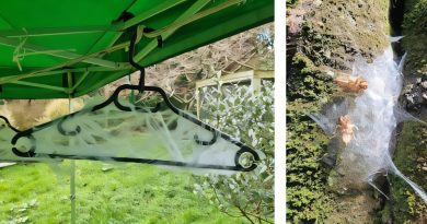 Des araignées inspirent des biologistes à créer des toiles artificielles pour capturer l'ADN aérien.