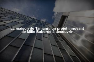 La maison de Tamam : un projet innovant de Mille Babords à découvrir