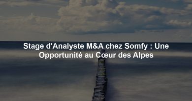 Stage d'Analyste M&A chez Somfy : Une Opportunité au Cœur des Alpes