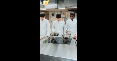 Découvrez des sites utiles pour trouver un stage de 3ème facilement