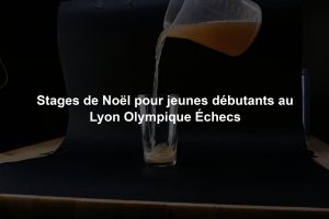 Stages de Noël pour jeunes débutants au Lyon Olympique Échecs
