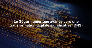 Le Ségur numérique avance vers une transformation digitale significative (DNS)