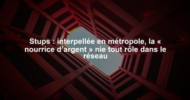 Stups : interpellée en métropole, la « nourrice d’argent » nie tout rôle dans le réseau