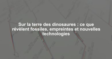 Sur la terre des dinosaures : ce que révèlent fossiles, empreintes et nouvelles technologies