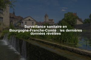 Surveillance sanitaire en Bourgogne-Franche-Comté : les dernières données révélées