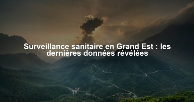 Surveillance sanitaire en Grand Est : les dernières données révélées