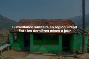 Surveillance sanitaire en région Grand Est : les dernières mises à jour