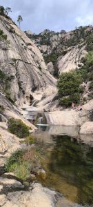 TeletubAstyanax : le nouveau phénomène sur Pixelfed.social qui attire l'attention