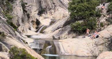 TeletubAstyanax : le nouveau phénomène sur Pixelfed.social qui attire l'attention