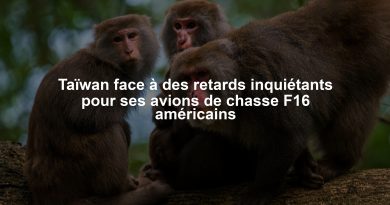 Taïwan face à des retards inquiétants pour ses avions de chasse F16 américains