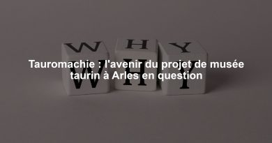 Tauromachie : l'avenir du projet de musée taurin à Arles en question