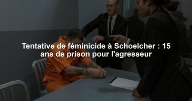 Tentative de féminicide à Schoelcher : 15 ans de prison pour l'agresseur