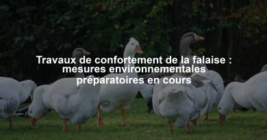 Travaux de confortement de la falaise : mesures environnementales préparatoires en cours