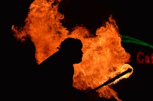 Déforestation : la droite s'unit à l'extrême droite tandis que le Conseil freine le Green Deal