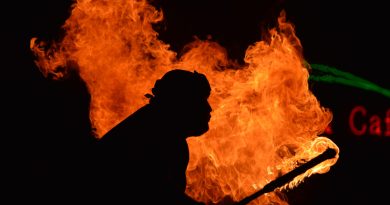 Déforestation : la droite s'unit à l'extrême droite tandis que le Conseil freine le Green Deal