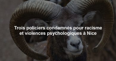 Trois policiers condamnés pour racisme et violences psychologiques à Nice