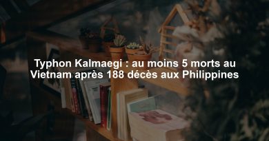 Typhon Kalmaegi : au moins 5 morts au Vietnam après 188 décès aux Philippines