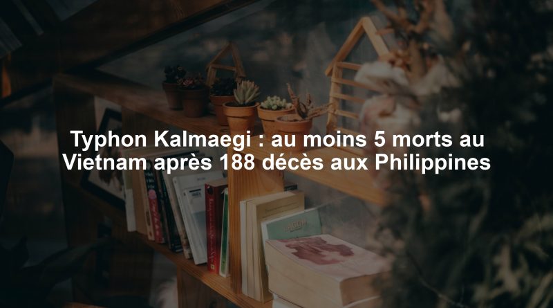 Typhon Kalmaegi : au moins 5 morts au Vietnam après 188 décès aux Philippines
