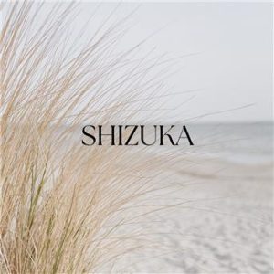 Musique de spa asiatique relaxante : écoute gratuite et téléchargement MP3 pour le sommeil