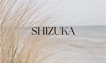 Musique de spa asiatique relaxante : écoute gratuite et téléchargement MP3 pour le sommeil