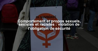 Comportement et propos sexuels, sexistes et racistes : violation de l'obligation de sécurité