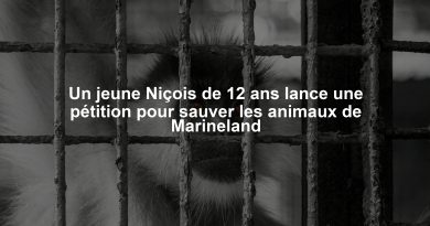 Un jeune Niçois de 12 ans lance une pétition pour sauver les animaux de Marineland