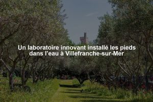 Un laboratoire innovant installé les pieds dans l’eau à Villefranche-sur-Mer