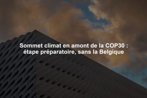 Sommet climat en amont de la COP30 : étape préparatoire, sans la Belgique
