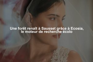 Une forêt renaît à Sausset grâce à Ecosia, le moteur de recherche écolo