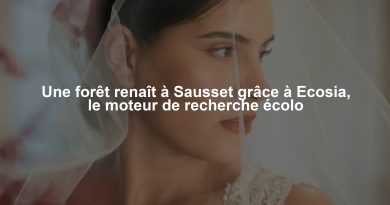 Une forêt renaît à Sausset grâce à Ecosia, le moteur de recherche écolo