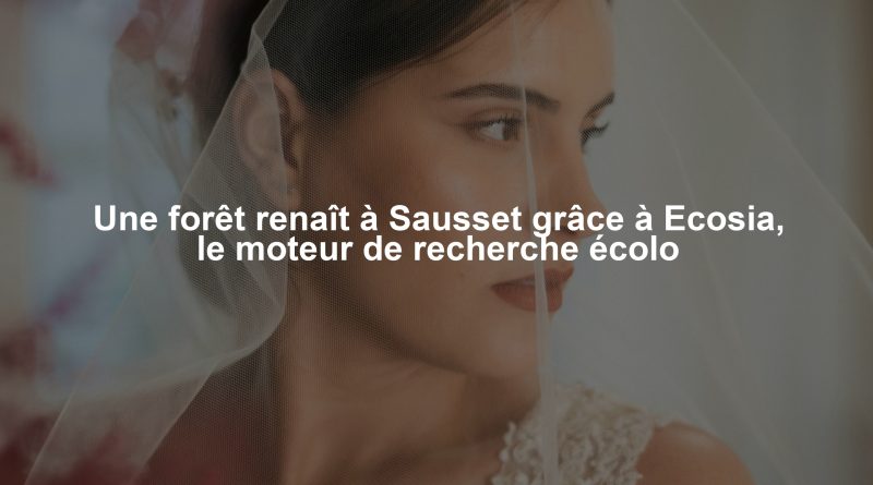 Une forêt renaît à Sausset grâce à Ecosia, le moteur de recherche écolo