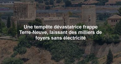 Une tempête dévastatrice frappe Terre-Neuve, laissant des milliers de foyers sans électricité