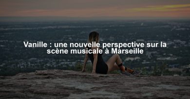 Vanille : une nouvelle perspective sur la scène musicale à Marseille