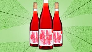 Vin de la semaine : découvrez un rouge hongrois bio à déguster