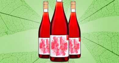 Vin de la semaine : découvrez un rouge hongrois bio à déguster