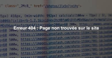 Erreur 404 : Page non trouvée sur le site