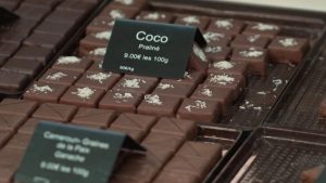 Chocolat amer : antioxydants et réduction de sucre, ses bienfaits pour la santé