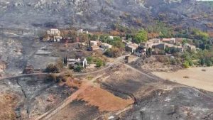 Incendies dans l'Aude : les viticulteurs toujours en attente des aides gouvernementales