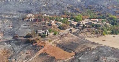 Incendies dans l'Aude : les viticulteurs toujours en attente des aides gouvernementales