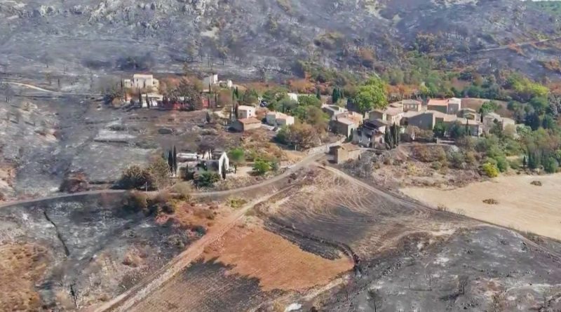 Incendies dans l'Aude : les viticulteurs toujours en attente des aides gouvernementales