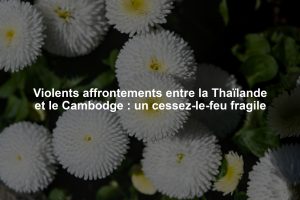 Violents affrontements entre la Thaïlande et le Cambodge : un cessez-le-feu fragile