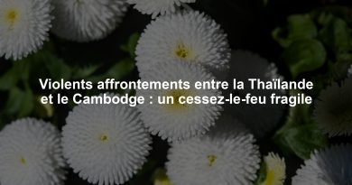 Violents affrontements entre la Thaïlande et le Cambodge : un cessez-le-feu fragile