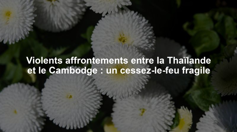 Violents affrontements entre la Thaïlande et le Cambodge : un cessez-le-feu fragile