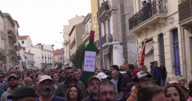 Hérault : des milliers de vignerons manifestent à Béziers pour sauver leurs exploitations
