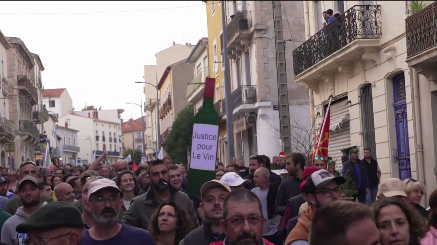 Hérault : des milliers de vignerons manifestent à Béziers pour sauver leurs exploitations